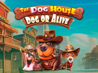 The Dog House - Dog or Alive thumbnail